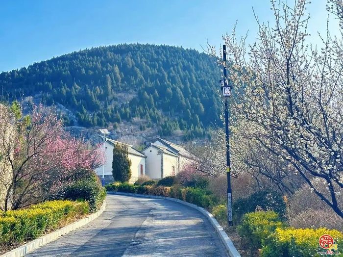 观花官庄丨朱家峪：趁得风轻，莫负春日好时光