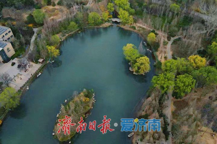 一年四季 泉在济南丨森林公园春色浓 生态美景入画来