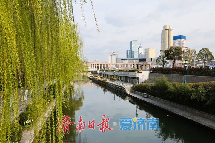 雨后放晴 泉城春光正好