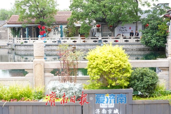 一年四季 泉在济南｜泉涌鱼游花相伴！雨后王府池子焕新姿