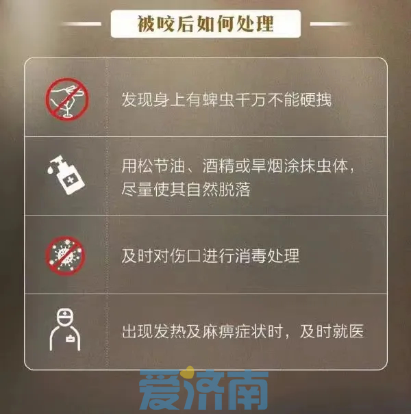 被它叮咬，严重可致命！专家：小心蜱虫，做到正确处理和防护