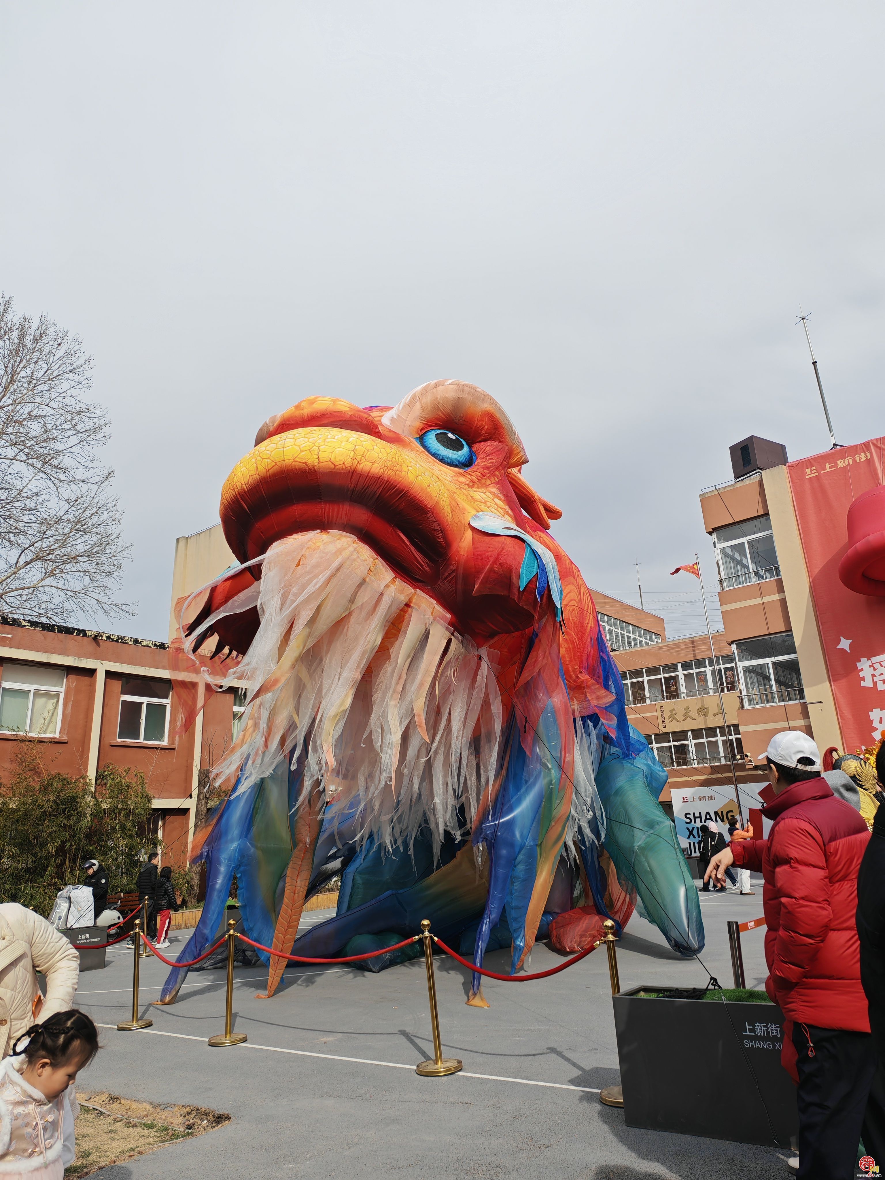 鳌舞上新街，祥瑞启新程——巨型鳌鱼惊艳亮相济南新春