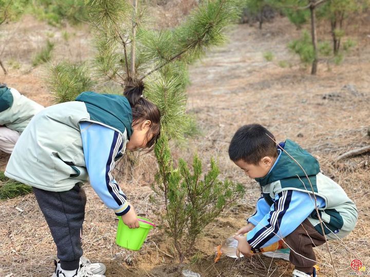 “‘植’一抹新绿  寄一份希望”里辛中心幼儿园走近棋山植树节实践活动