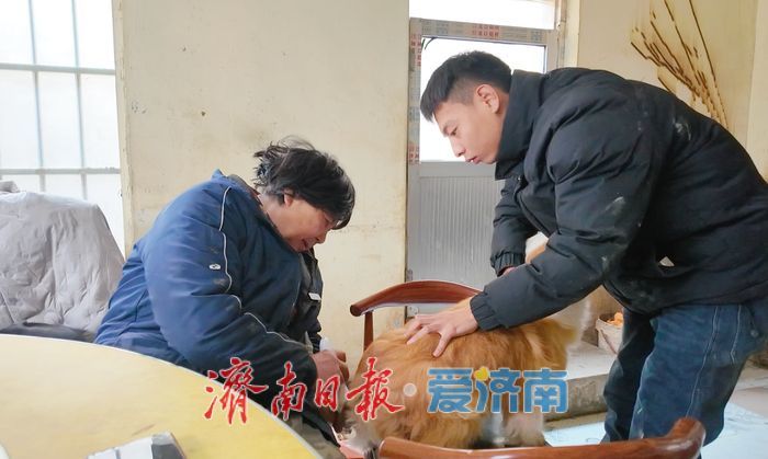 探访济南最大流浪动物基地 3000只“毛孩子”如何过冬