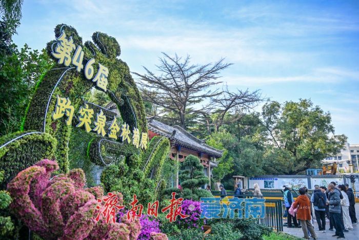 亮点纷呈 体验升级 第46届趵突泉金秋菊展今起开展