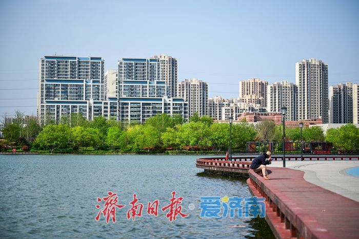 一年四季 泉在济南｜春日暖阳映湖畔 云锦湖尽展盎然生机