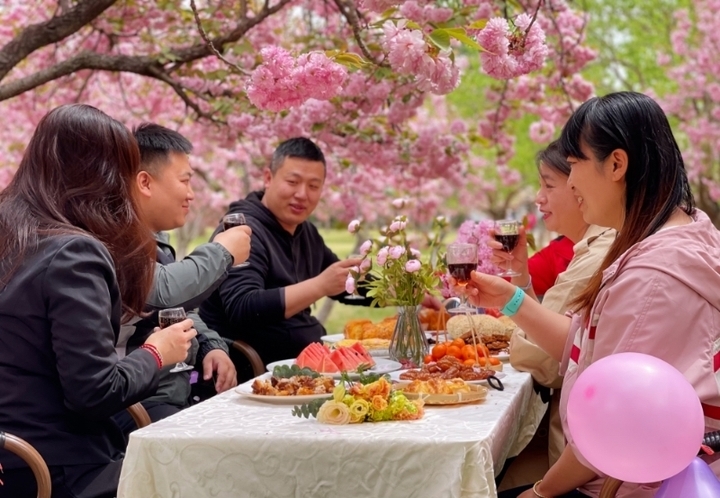 繁花盛邀，不负春光！2024济南花朝节特色活动出炉