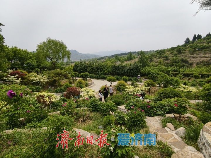 “空壳村”变身空谷花园 乡村文旅铺就振兴路