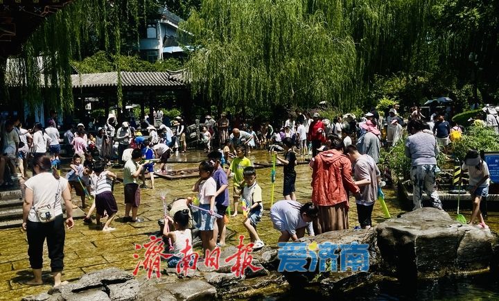 一年四季 泉在济南丨清泉石上流，戏水消夏暑
