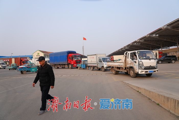 晨光下的车水马龙：黄瓜批发市场开市忙