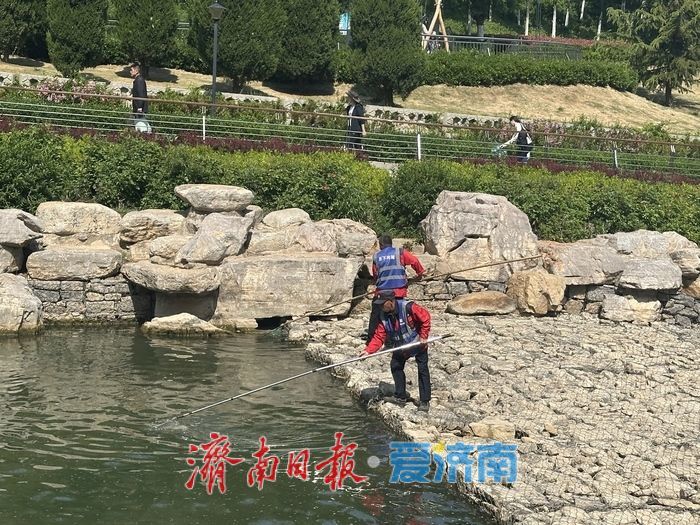 济南“泉水游”爆火背后：解码历下如何擦亮“泉水长涌”金名片