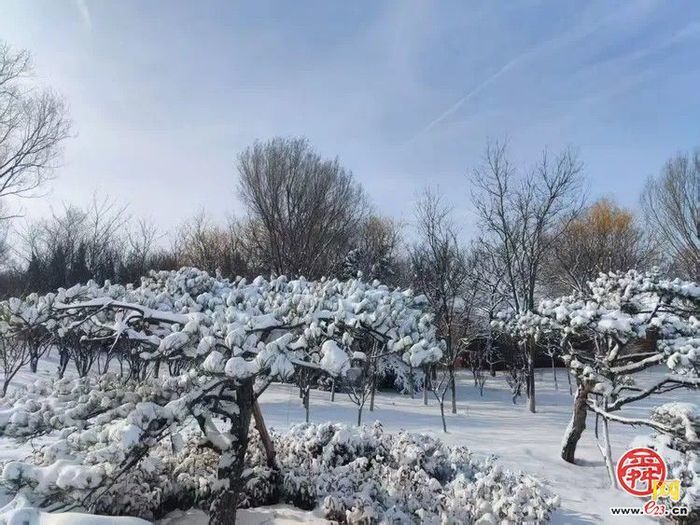 济南市章丘区：雪后绣源河