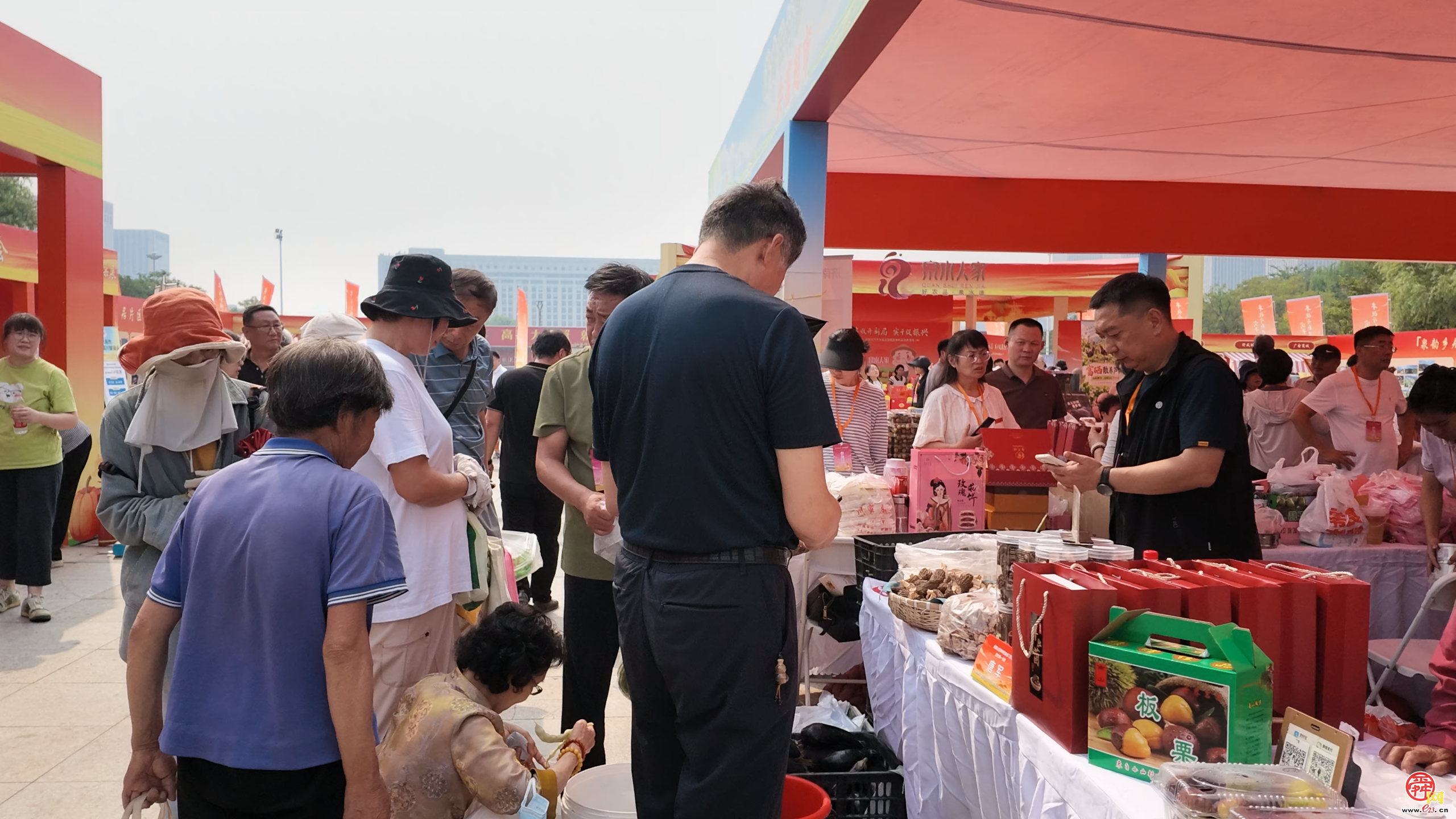 “丰收开新局 实干促振兴”泉城优特农品暨设施蔬菜金秋促消费活动正式启动