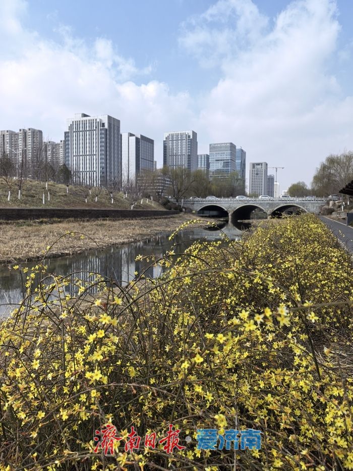 雾散天开春意浓 市民踏青享春光