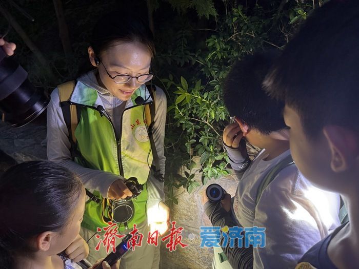 手电照见惊喜：佛慧山夜探虫趣浓，济南生态答卷更亮眼
