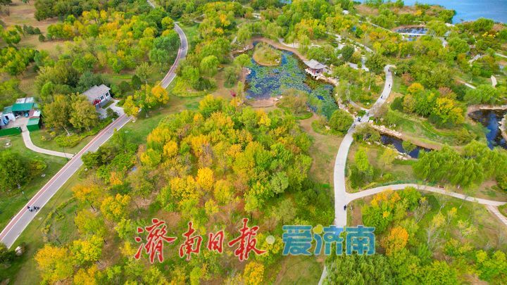 一年四季 泉在济南丨济南华山湖铺展斑斓秋日画卷