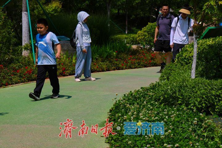 满目青翠入画来！佛慧山生态廊桥铺就泉城生态绿廊