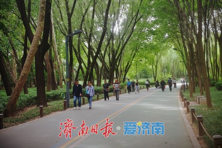 秋日打卡森林绿道，在天然氧吧里快乐健身