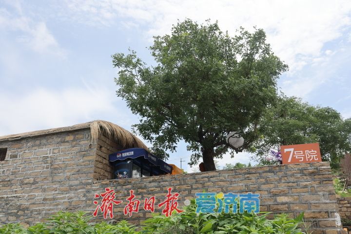 依河而兴！乡村石屋小院解锁沿黄新玩法