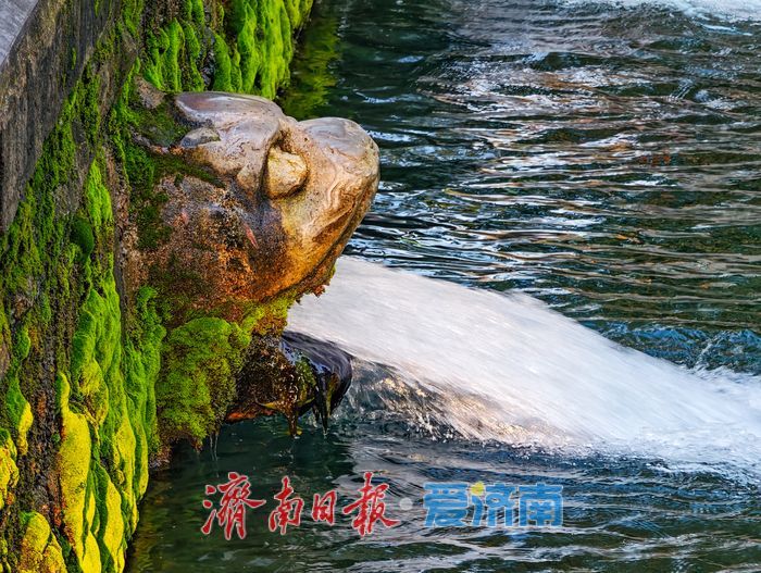 清晨泉韵悠悠 烟火日常诠释泉城宜居温度