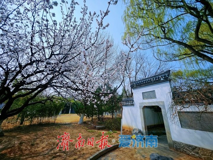一年四季 泉在济南丨春水映花柳色新 济南园博园迎来踏青赏花好时节