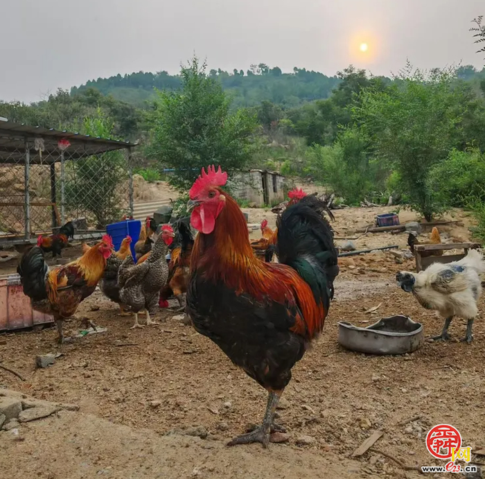 垛庄，心归处：解锁深藏山野的文旅密码