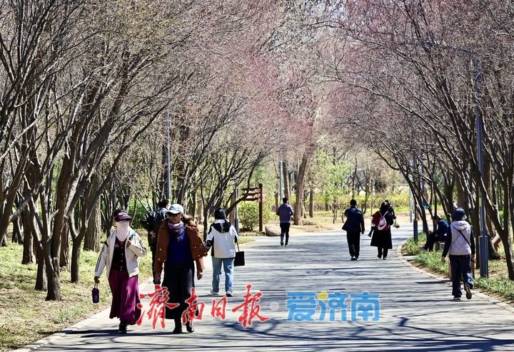 春分时节，踏春赏景正当时