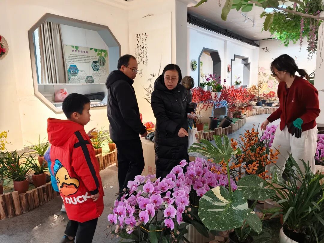 济南公园上演新春盛典，赏花购年货一站式解锁