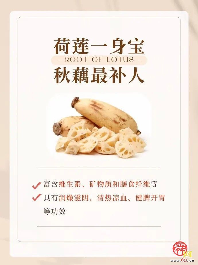 为哪吒重塑肉身，试试白云湖的藕？