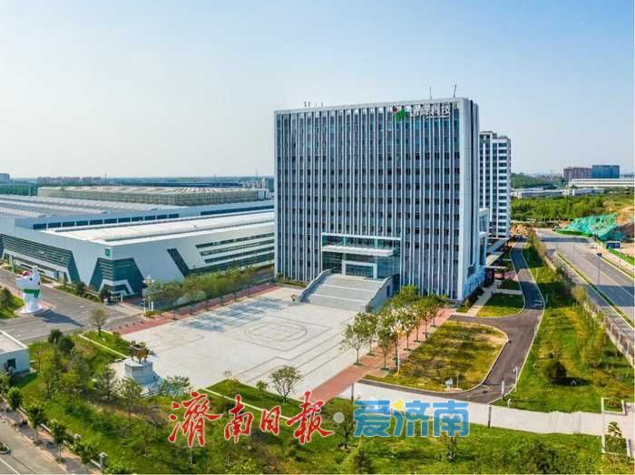 城市建设如何低碳前行？济南这样“绿色”实践