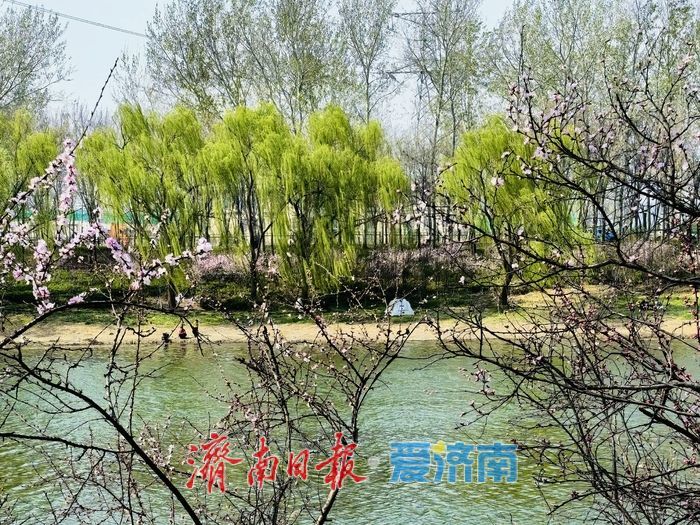 气温回暖春意浓 小清河畔踏青忙