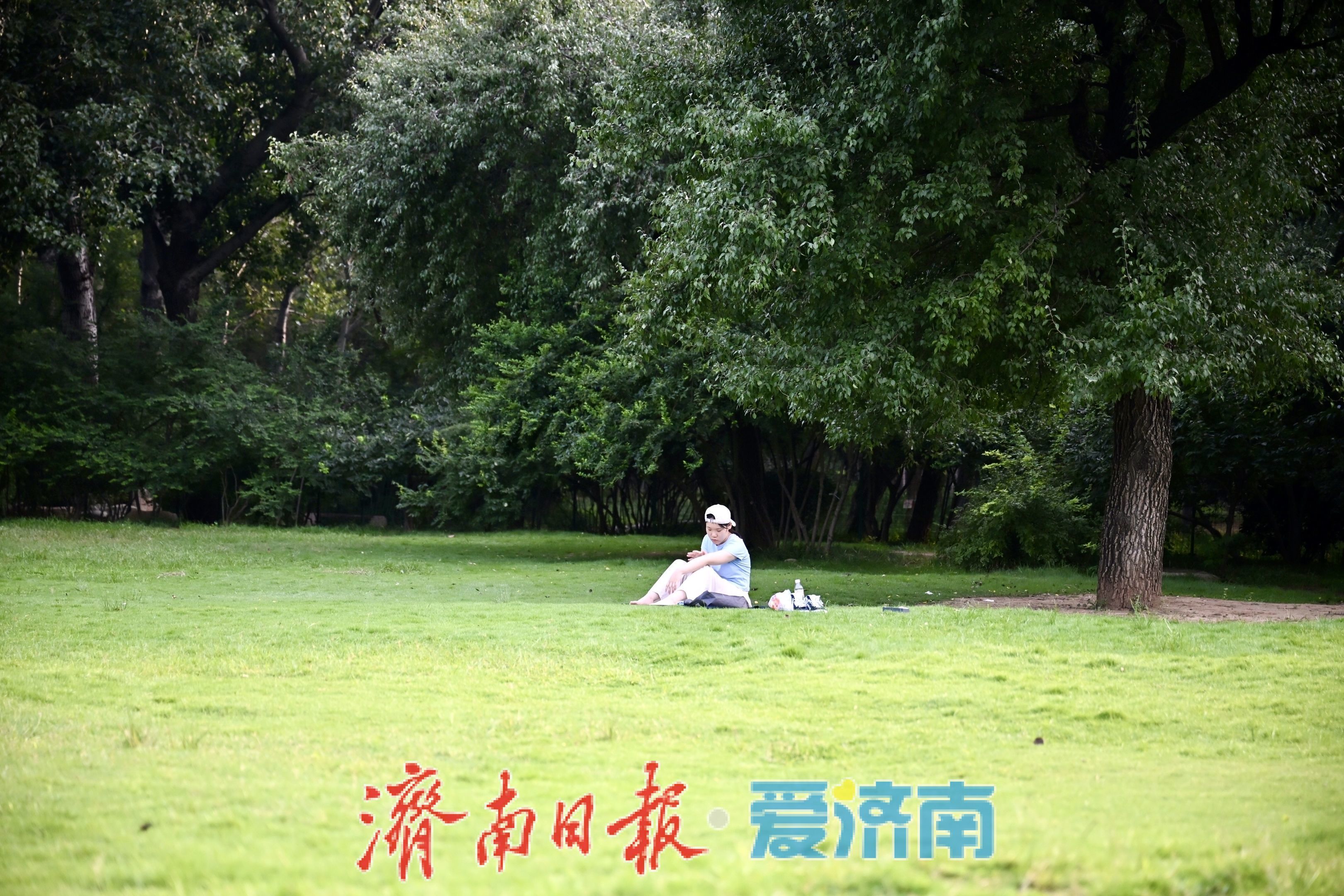 一年四季 泉在济南丨济南森林公园绿地草坪变身避暑胜地，市民林间纳凉乐享夏日慢时光