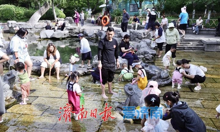 一年四季 泉在济南丨戏水亲泉寻清凉