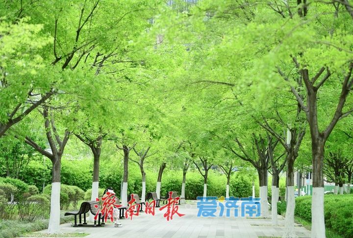 一年四季 泉在济南丨济南中央商务区绘就春日画卷