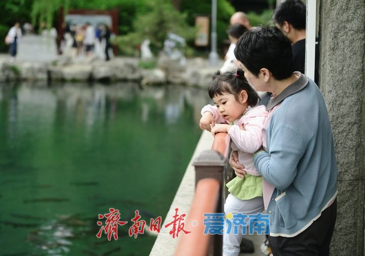 一年四季 泉在济南丨初夏凉爽天，寻幽龙潭畔