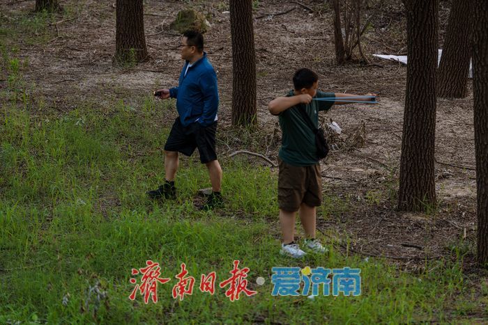 一年四季 泉在济南丨黄河岸边夏夜忙 济南市民扎堆寻“金蝉”