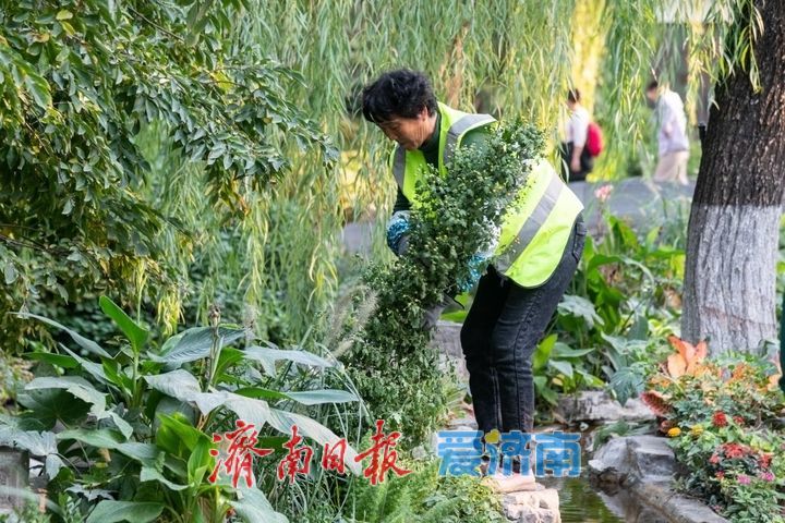 济南市第47届趵突泉金秋菊展将于10月24日盛装启幕