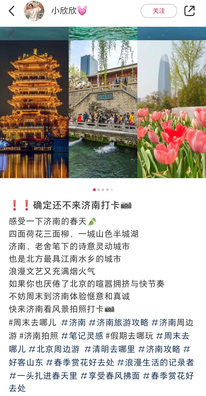 “济南的春天已是Next Level !”来听游客的花式表白