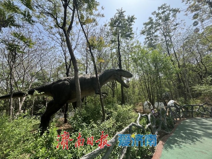 遛娃胜地！快去济南这座“侏罗纪公园”开启奇妙冒险吧