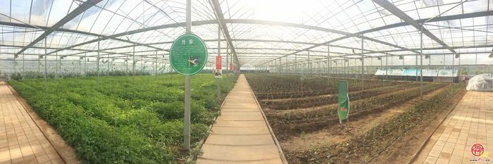 章丘官庄街道：沃野耕耘，乡村蝶变振兴有道