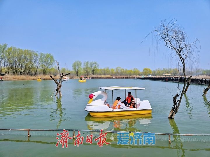 一年四季 泉在济南丨济西湿地泛舟尽享春日生态之美