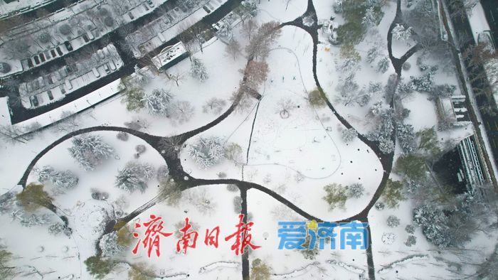 雪染 “东荷西柳” 济南奥体中心现水墨盛景