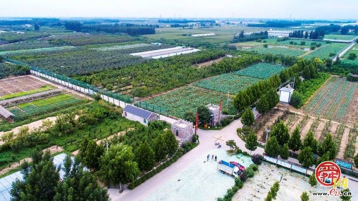 【绣惠2025·①党建引领篇】铸魂强基 实干担当 奋进力量全面凝聚