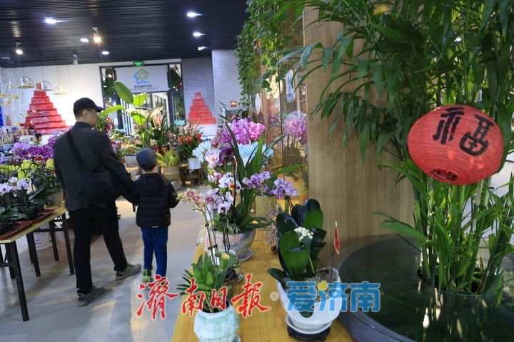 “泉”在济南过大年丨假期好去处！走进森林公园科普馆感受自然魅力