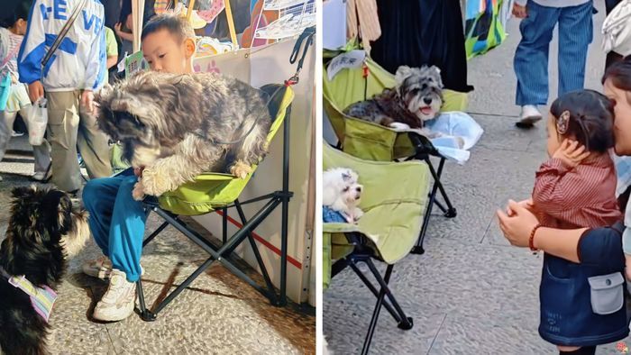 泉畔新章，于此上新 “双节”假期上新街持续“上新” 赴约城市美学盛宴