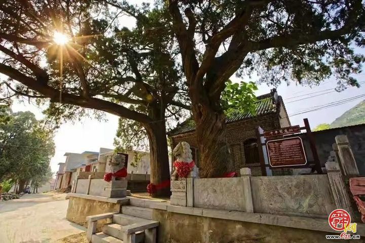 一棵树带活一个村！文祖街道以“一村一业”解锁全域振兴新图景