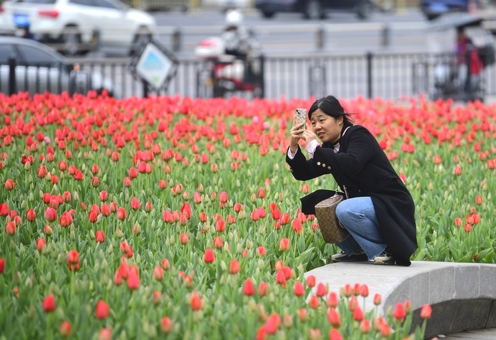 春花烂漫时，“郁”见你真好