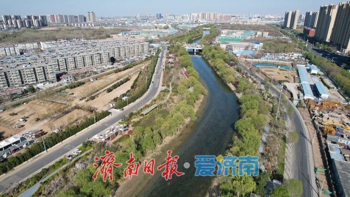 水生态治理成果显著 济南小清河春景如画