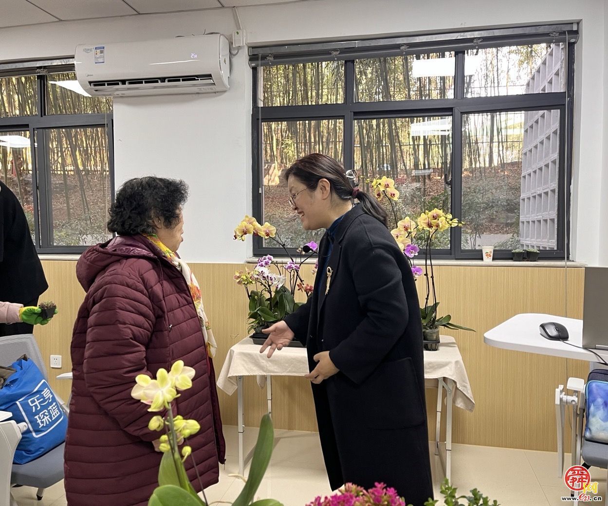 园·林惠民行