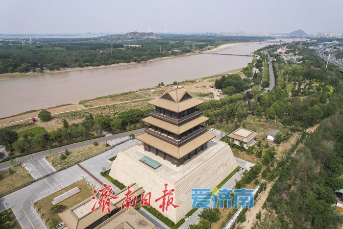 一年四季 泉在济南丨麦浪翻金！济南黄河两岸好风光